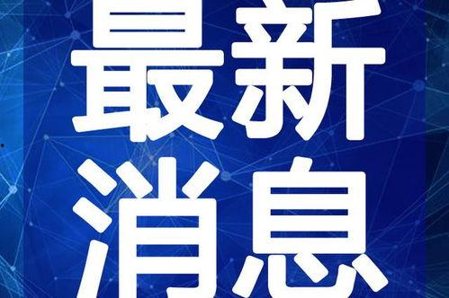 徐东美发店爆料视频最新,揭秘行业内幕，带你走进真实美发世界